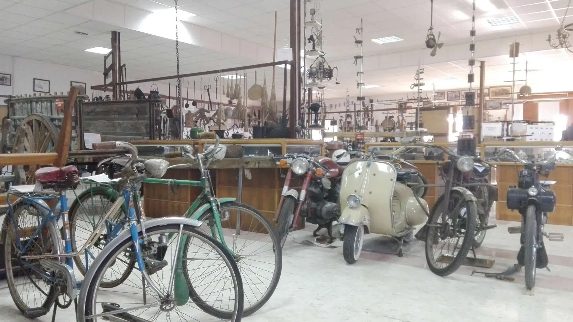 Colección de motos